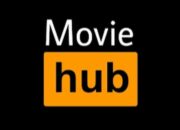 Download Movie hub. Apk solusi nonton film sementara cocok untu stb b860,hg680