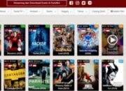 Download Aplikasi Duta Film Work All Stb Android Plat Merah