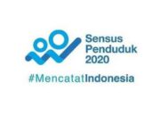 Sensus Penduduk 2020 Sudah Dimulai Secara Online, Berikut Tahapannya