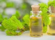 4 Tips Mengobati Jerawat Menggunakan Tea Tree Oil