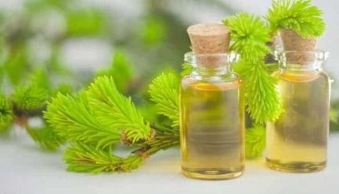 4 Tips Mengobati Jerawat Menggunakan Tea Tree Oil