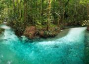 Blue River di Raja Ampat, Sungai Biru Yang Sangat Jernih