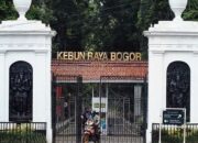 Sejak Tiga Hari Beroperasi, Pengunjung Kebun Raya Bogor Masih Sepi