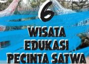 6 Wisata Edukasi Pecinta Satwa