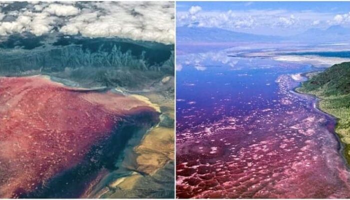 Danau Natron, Salah Satu Danau Berbahaya Di Dunia