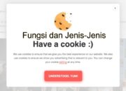 Fungsi Dan Jenis-Jenis Cookies, Web