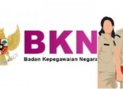 BKN Jawab Berbagai Pertanyaan Seputar Pemberkasan