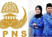 Masih Ada Peluang, Peserta Lolos CPNS 2019 Bisa Digantikan Jika Mengundurkan Diri