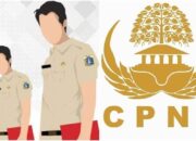 Siap-Siap! Begini, Nih Bocoran Seleksi CPNS 2021