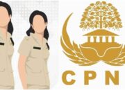 Bukti Pengalaman Kerja Bisa Berguna Untuk Penetapan Gaji Pokok CPNS? Ini Syaratnya