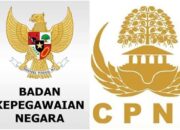 Modus Baru Penipuan: SK CPNS 2019 Palsu, Cek Ciri-Cirinya!