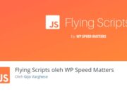 Cara Mempercepat WordPress Dengan Flying Script Termasuk Lazy Load Adsense