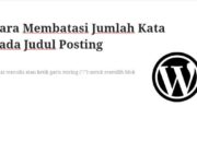 Cara Membatasi Jumlah Kata Pada Judul Posting di WordPress dengan Word Count