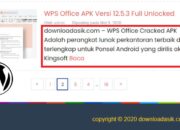 Cara Membatasi Panjang Artikel pada WordPress Tanpa Plugin