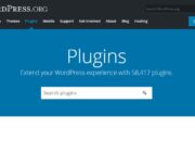 Cara Memilih Plugin Terbaik untuk Situs Web WordPress