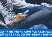 Tidak Yakin iPhone Kamu Asli Atau Palsu? Berikut 5 Cara Cek IMEI dengan Mudah