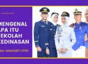 Mengenal Apa Itu Sekolah Kedinasan, Jalur alternatif untuk Jadi CPNS