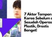 7 Aktor Tampan Korea Sebelum dan Sesudah Operasi Plastik, Drastis Banget!