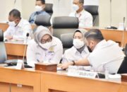 Ade Yasin Sampaikan Pendapatnya Tentang UU HKPD Pada RDP Dengan Banggar DPR RI