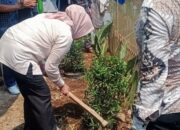 Kadis Perikanan Dan Peternakan Menabur Benih Ikan Nila 5000 Ekor Di Kali Sambil Tanam Pohon